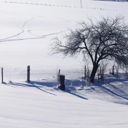 In Der Naehe Des Skigebietes Schmallenberg