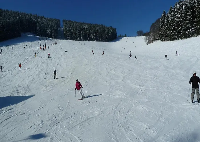In Der Naehe Des Skigebietes Lejlighed